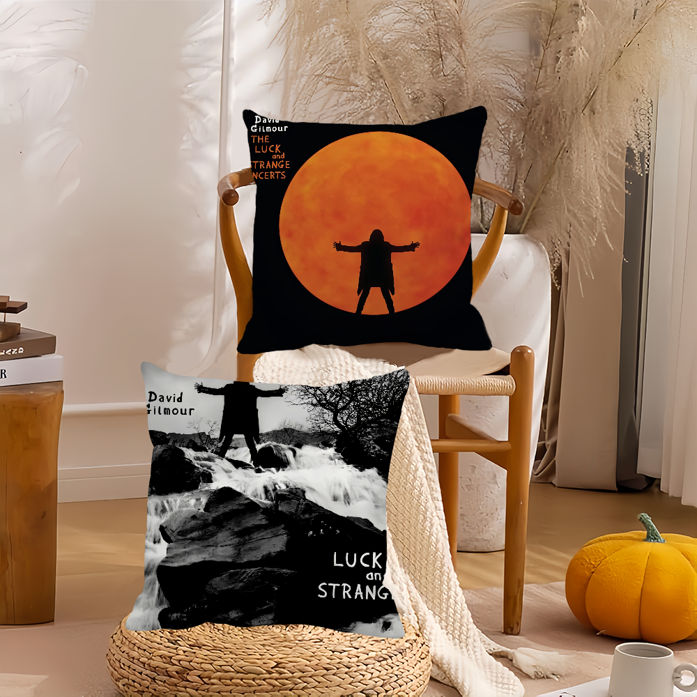 Singer D-David G-Gilmour Pillo - Pillow Cover 20X20 avaliação e preço
