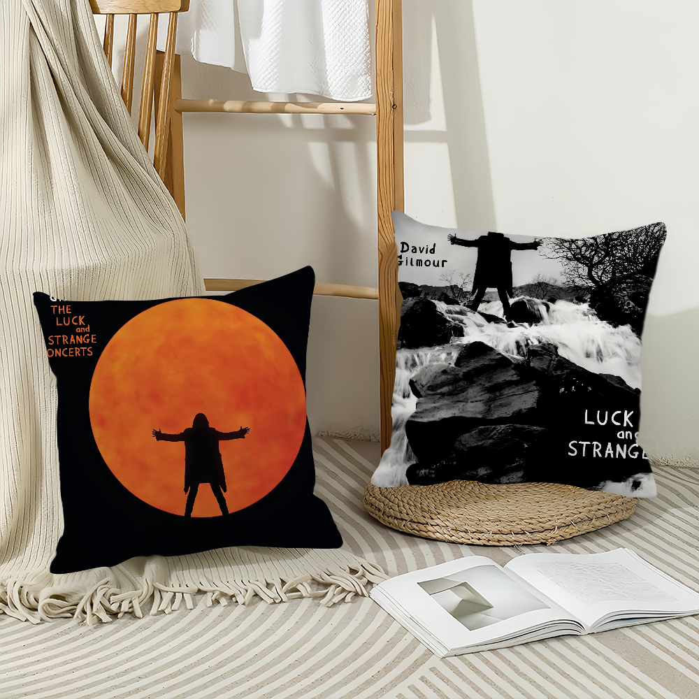 Singer D-David G-Gilmour Pillo - Pillow Cover 20X20 avaliação e preço